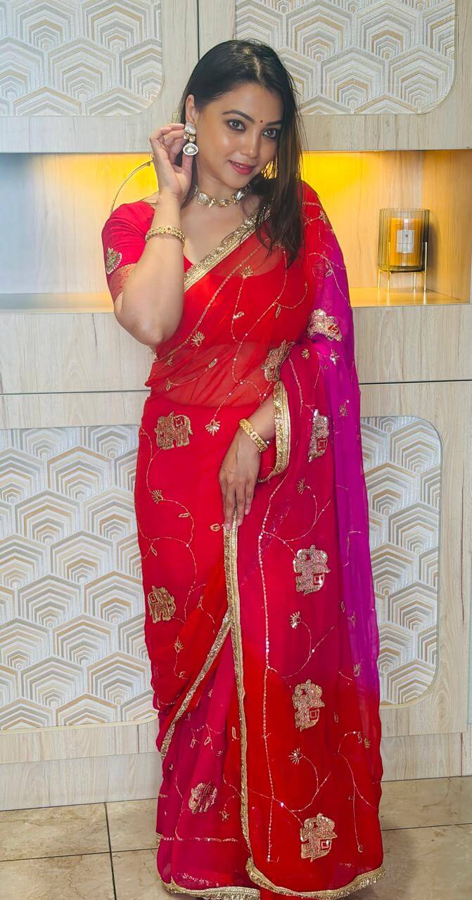 Pink Rajwada Chiffon Saree